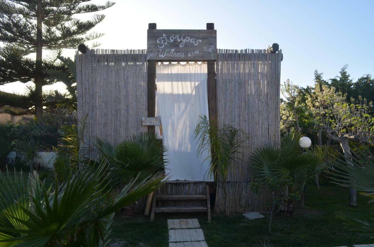 مبيت وإفطار سانتا ماريا ديل فوكالو Floripa Surf House المظهر الخارجي الصورة